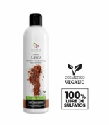 Armonia bio champu caspa 300ml